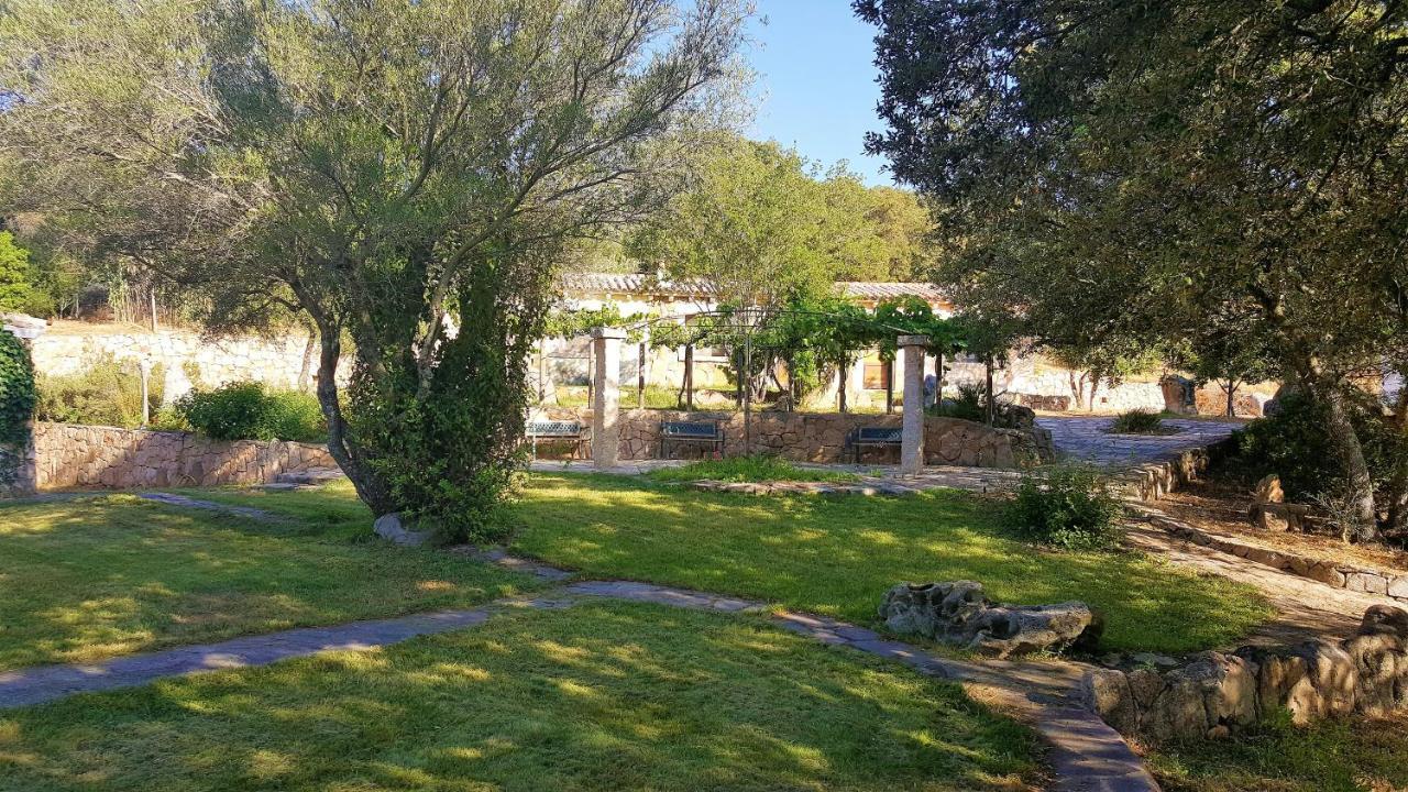 Agriturismo Desole مونتي المظهر الخارجي الصورة
