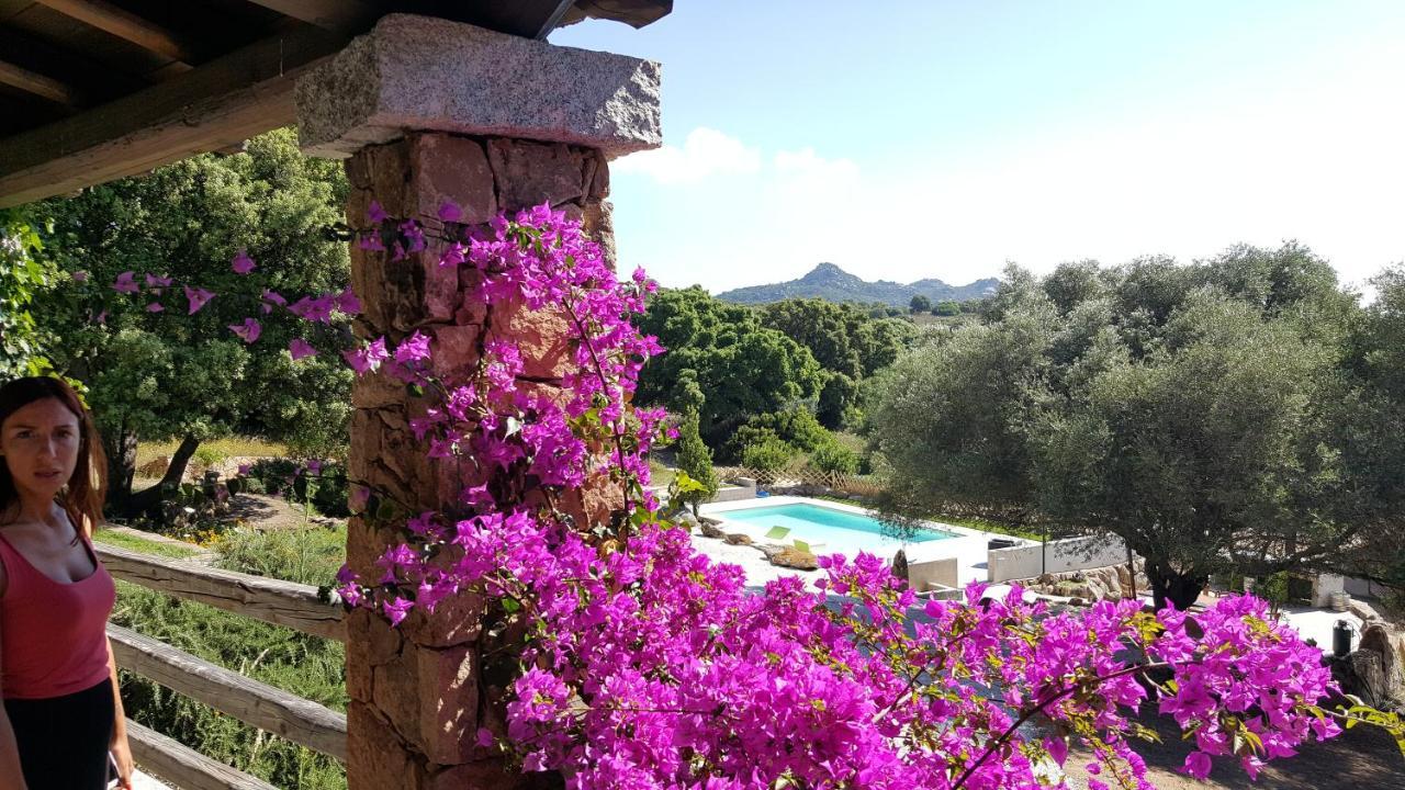 Agriturismo Desole مونتي المظهر الخارجي الصورة