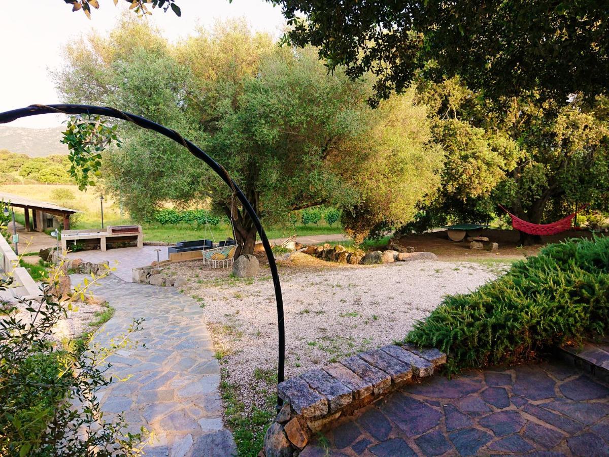 Agriturismo Desole مونتي المظهر الخارجي الصورة