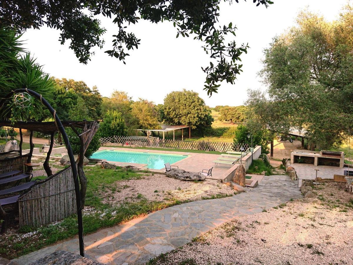 Agriturismo Desole مونتي المظهر الخارجي الصورة