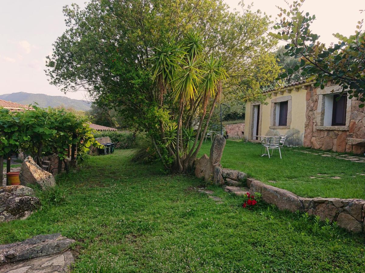 Agriturismo Desole مونتي المظهر الخارجي الصورة