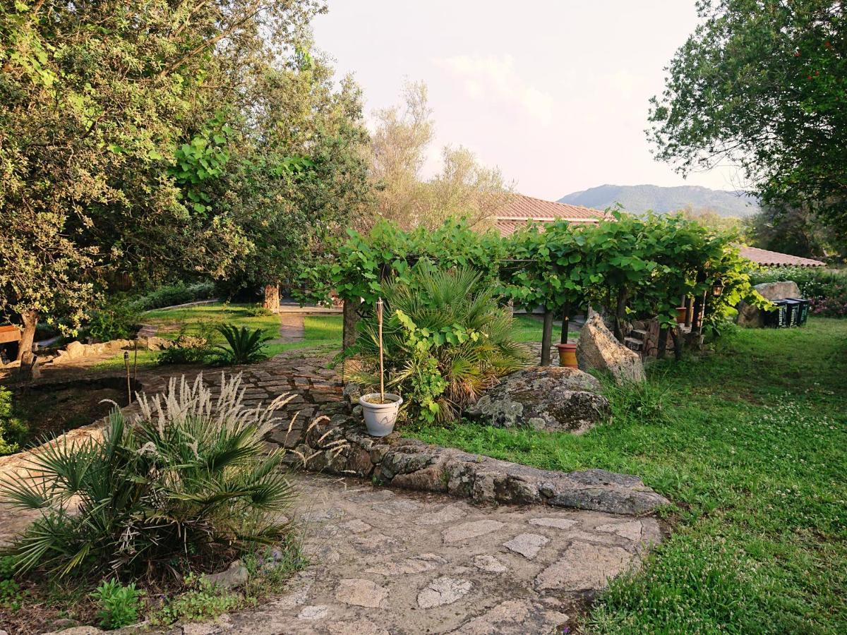 Agriturismo Desole مونتي المظهر الخارجي الصورة