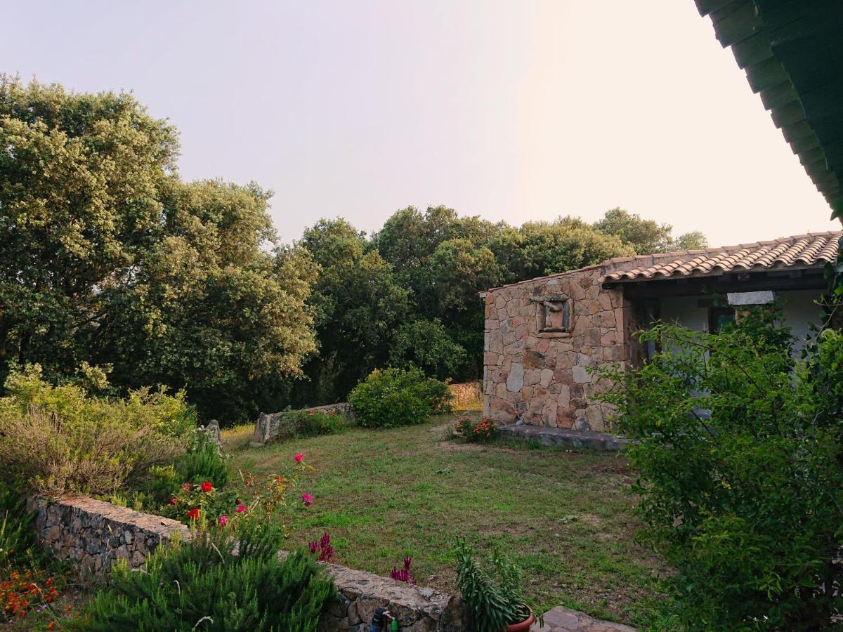Agriturismo Desole مونتي المظهر الخارجي الصورة