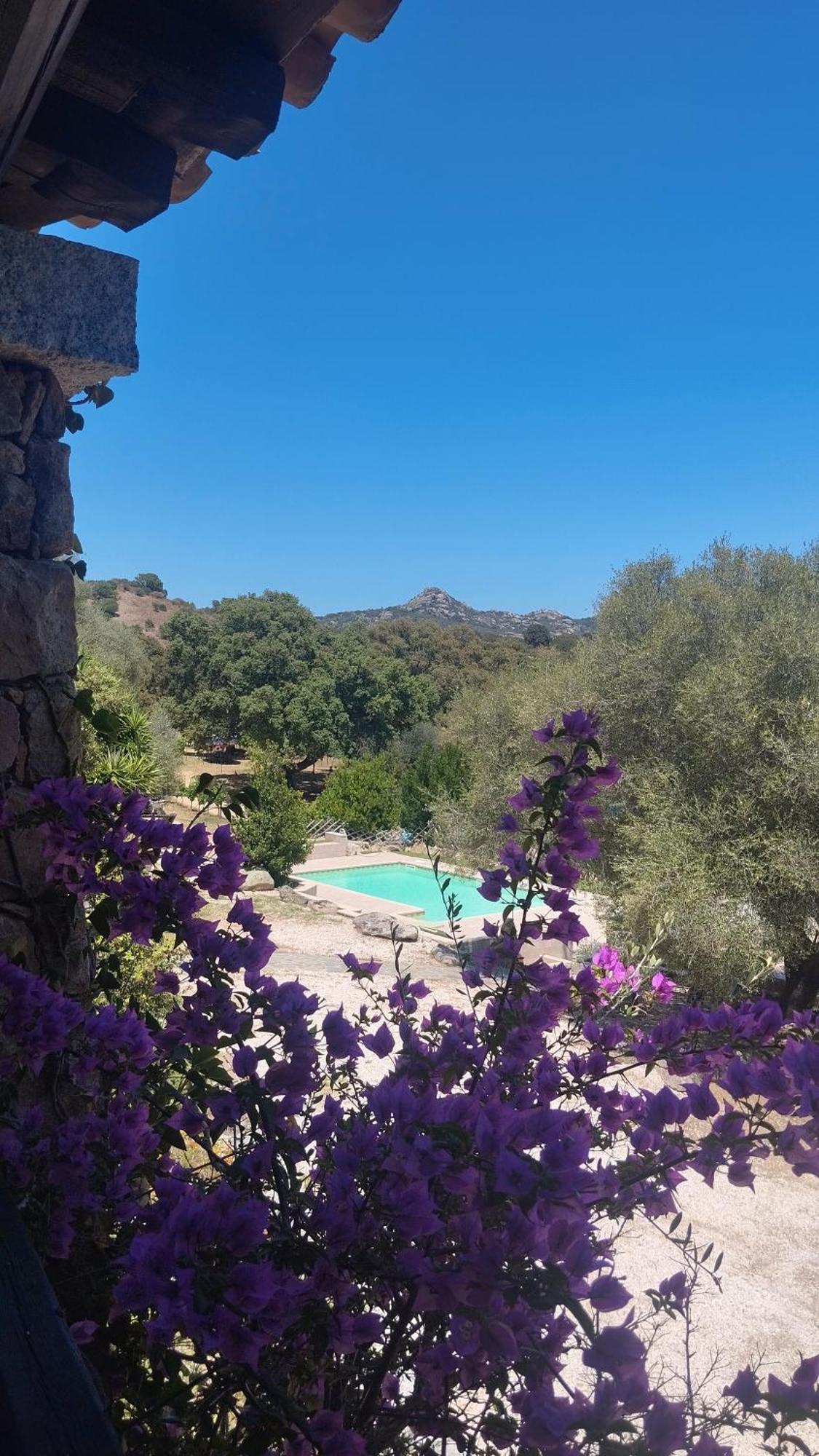 Agriturismo Desole مونتي المظهر الخارجي الصورة