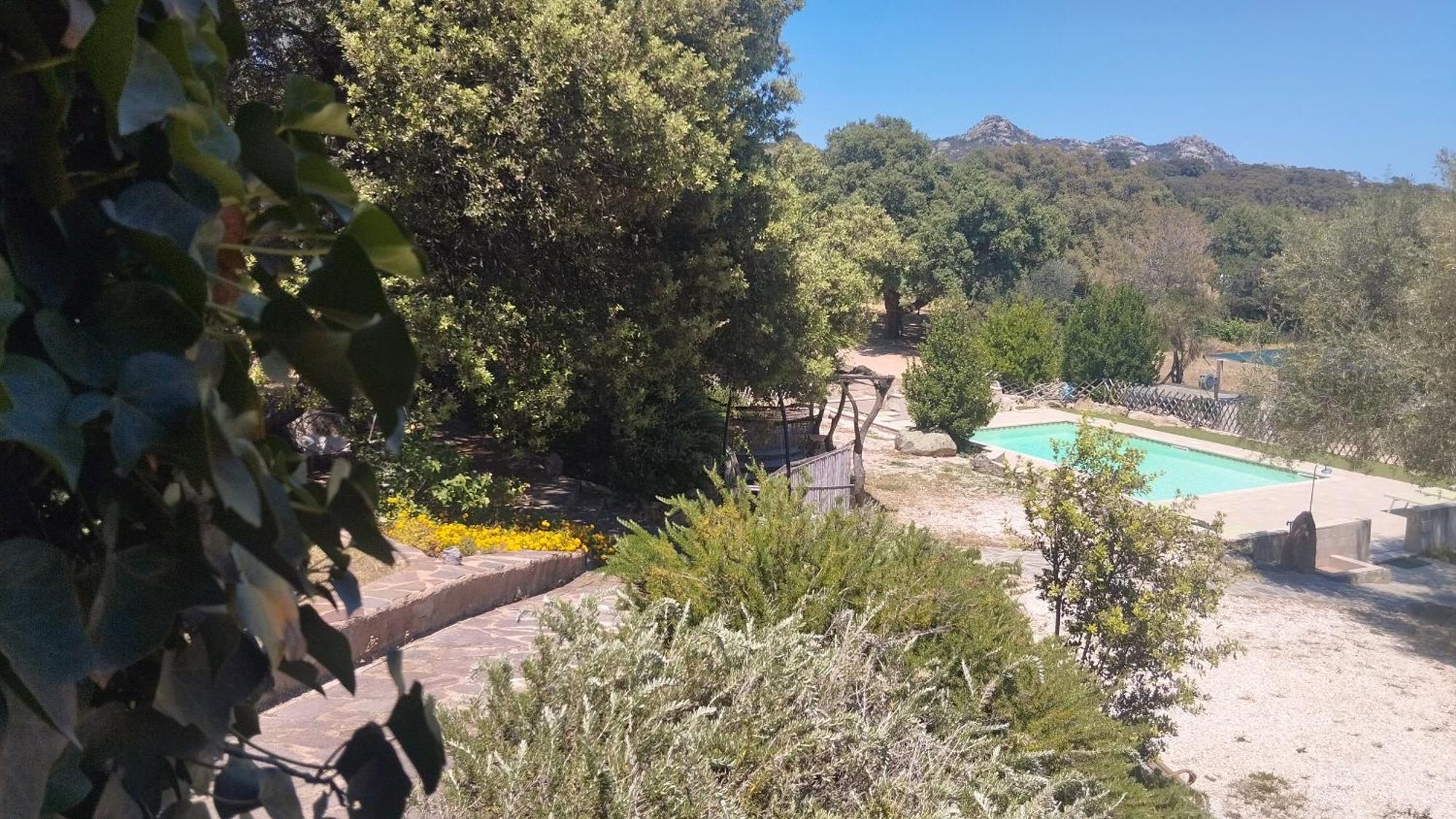 Agriturismo Desole مونتي المظهر الخارجي الصورة