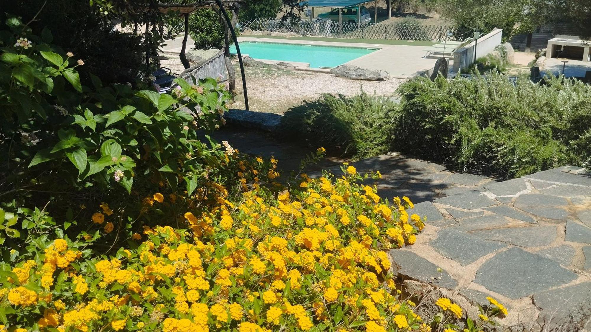 Agriturismo Desole مونتي المظهر الخارجي الصورة